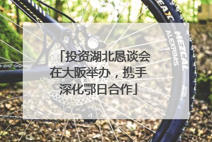 投资湖北恳谈会在大阪举办，携手深化鄂日合作
