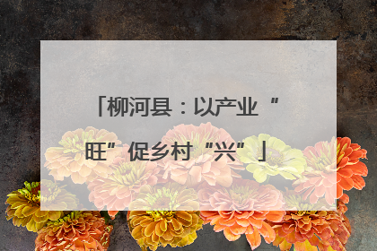 柳河县：以产业“旺”促乡村“兴”
