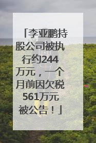 李亚鹏持股公司被执行约244万元，一个月前因欠税561万元被公告！