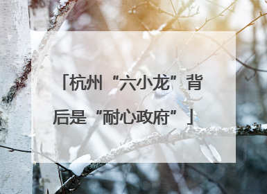 杭州“六小龙”背后是“耐心政府”