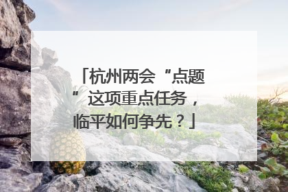 杭州两会“点题”这项重点任务，临平如何争先？