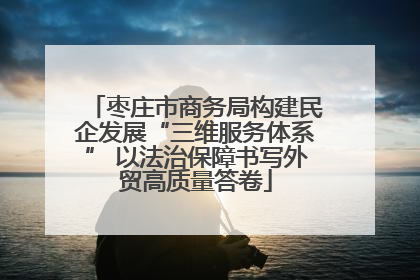 枣庄市商务局构建民企发展“三维服务体系” 以法治保障书写外贸高质量答卷