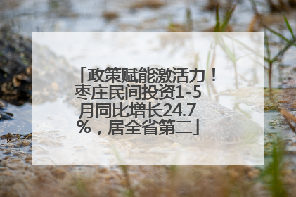 政策赋能激活力！枣庄民间投资1-5月同比增长24.7%，居全省第二