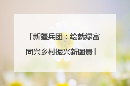 新疆兵团：绘就绿富同兴乡村振兴新图景