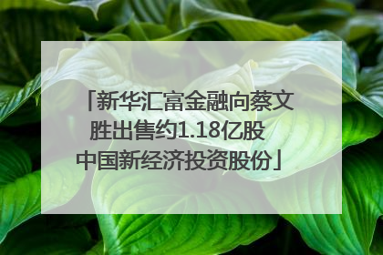 新华汇富金融向蔡文胜出售约1.18亿股中国新经济投资股份