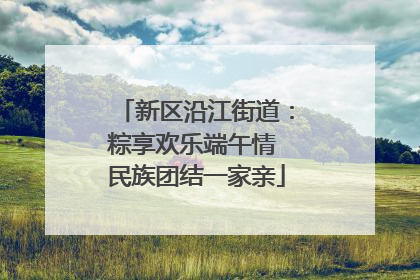 新区沿江街道：粽享欢乐端午情 民族团结一家亲