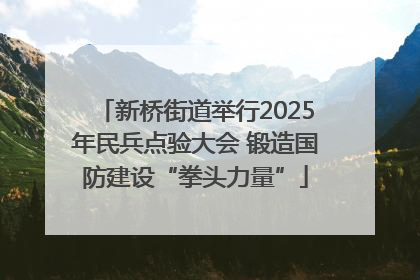 新桥街道举行2025年民兵点验大会 锻造国防建设“拳头力量”