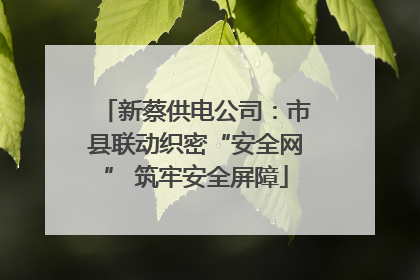 新蔡供电公司：市县联动织密“安全网” 筑牢安全屏障