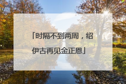 时隔不到两周，绍伊古再见金正恩