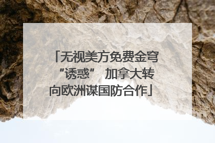 无视美方免费金穹“诱惑” 加拿大转向欧洲谋国防合作