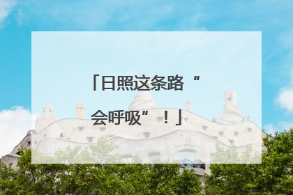 日照这条路“会呼吸”！