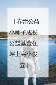 春雷公益小种子成长公益基金在坪上完小设立