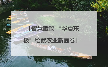 智慧赋能 “华夏东极”绘就农业新画卷
