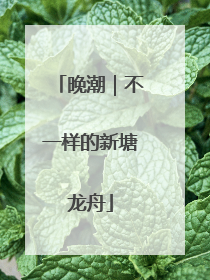 晚潮｜不一样的新塘龙舟