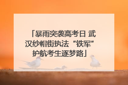 暴雨突袭高考日 武汉纱帽街执法“铁军”护航考生逐梦路
