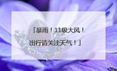 暴雨！11级大风！出行请关注天气！