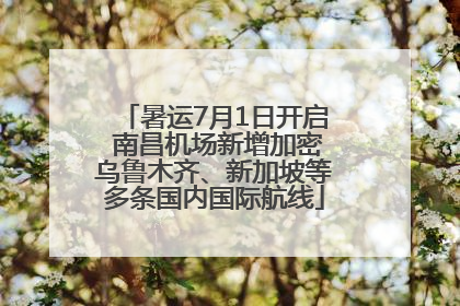 暑运7月1日开启 南昌机场新增加密乌鲁木齐、新加坡等多条国内国际航线