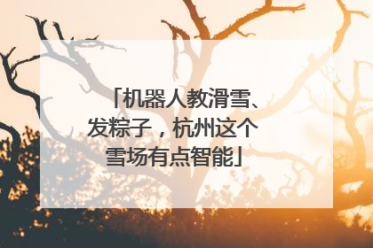 机器人教滑雪、发粽子，杭州这个雪场有点智能