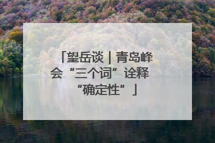望岳谈｜青岛峰会“三个词”诠释“确定性”