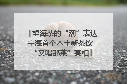 望海茶的“潮”表达 宁海首个本土新茶饮“又喝那茶”亮相