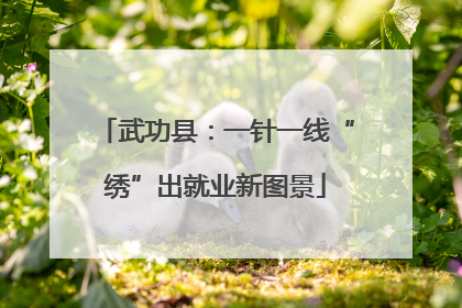 武功县：一针一线“绣”出就业新图景