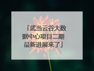 武当云谷大数据中心项目二期最新进展来了