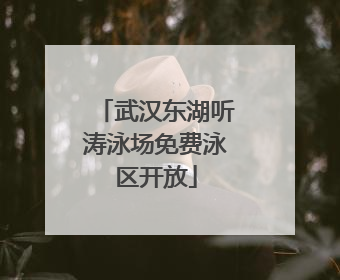 武汉东湖听涛泳场免费泳区开放