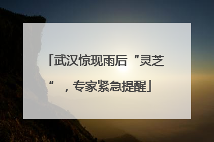 武汉惊现雨后“灵芝”，专家紧急提醒