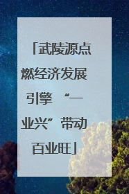 武陵源点燃经济发展引擎 “一业兴”带动百业旺