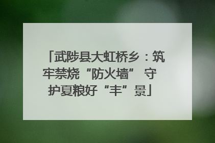 武陟县大虹桥乡：筑牢禁烧“防火墙” 守护夏粮好“丰”景