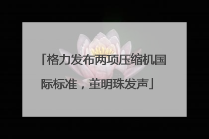 格力发布两项压缩机国际标准，董明珠发声