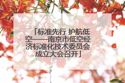 标准先行 护航低空——南京市低空经济标准化技术委员会成立大会召开