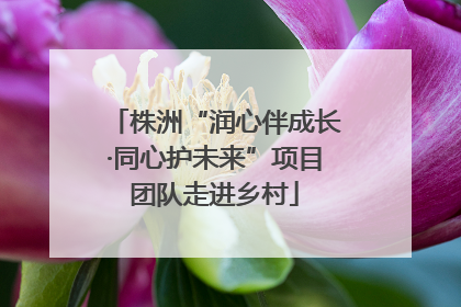 株洲“润心伴成长·同心护未来”项目团队走进乡村