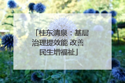 桂东清泉：基层治理提效能 改善民生增福祉