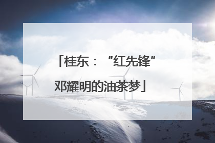 桂东：“红先锋”邓耀明的油茶梦