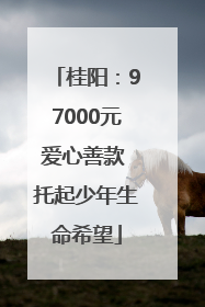 桂阳：97000元爱心善款 托起少年生命希望