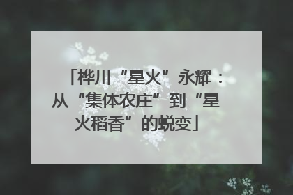 桦川“星火”永耀：从“集体农庄”到“星火稻香”的蜕变