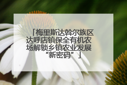 梅里斯达斡尔族区达呼店镇保全有机农场解锁乡镇农业发展“新密码”