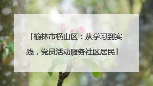 榆林市横山区：从学习到实践，党员活动服务社区居民