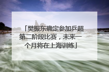 樊振东确定参加乒超第二阶段比赛，未来一个月将在上海训练