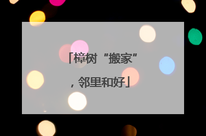 樟树“搬家”，邻里和好