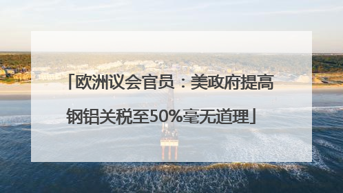 欧洲议会官员：美政府提高钢铝关税至50%毫无道理