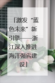 激发“蓝色未来”新引擎——浙江深入推进海洋强省建设