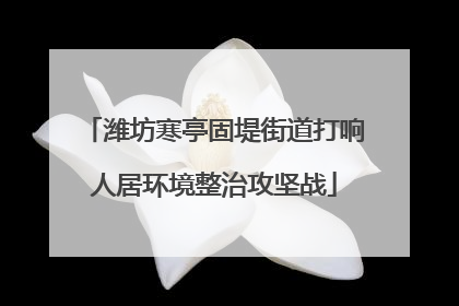 潍坊寒亭固堤街道打响人居环境整治攻坚战