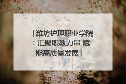潍坊护理职业学院：汇聚职教力量 赋能高质量发展