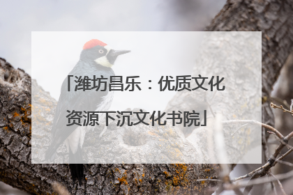 潍坊昌乐：优质文化资源下沉文化书院