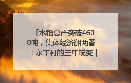 水稻总产突破4600吨，集体经济翻两番：永丰村的三年蜕变｜您牵挂的四川