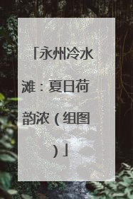 永州冷水滩：夏日荷韵浓（组图）