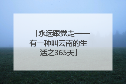 永远跟党走——有一种叫云南的生活之365天