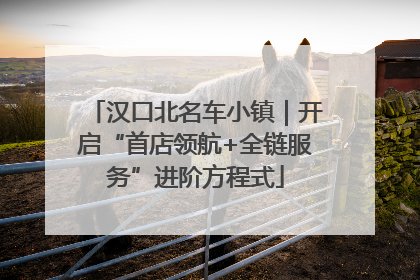 汉口北名车小镇｜开启“首店领航+全链服务”进阶方程式